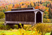 gray covered bridge