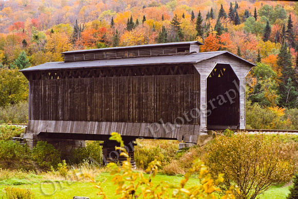 gray covered bridge