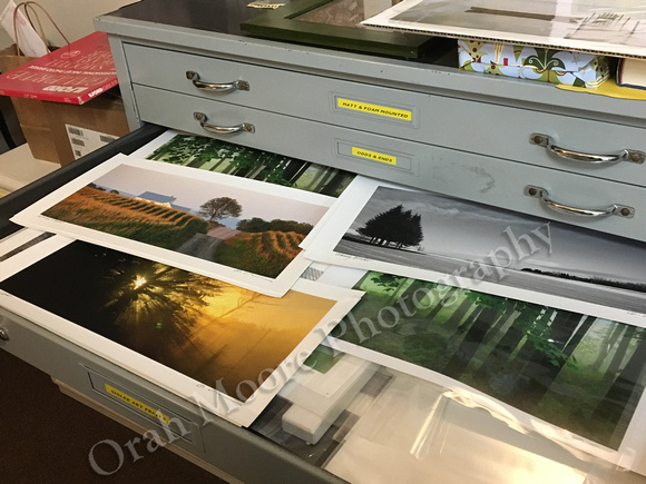 Flat file panoramic prints from "Under the Influence of Trees" past exhibit