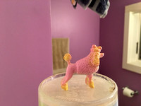 The Pink Dog-0025
