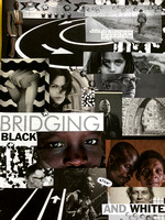 8 - Bridging Black and White