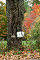 Mailboxes of Vermont