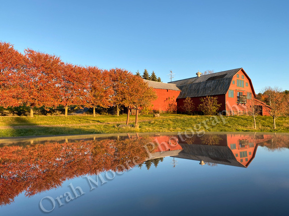 Westford Reflections